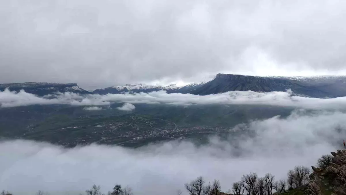 Derecik\'te Sis ve Doğa Manzarası