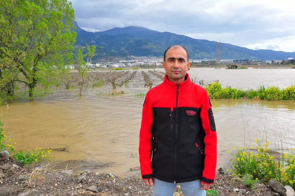 Manisa\'da Gediz Nehri Taşkını Üzümleri Tehdit Ediyor