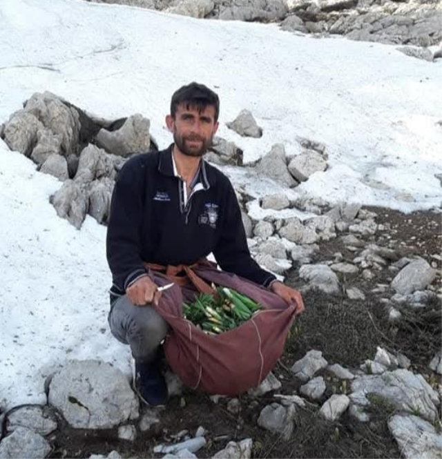 Kilosu 300 liradan satılıyor! Günde 21 bin lira kazanan var