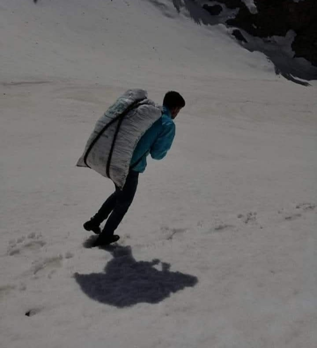 Kilosu 300 liradan satılıyor! Günde 21 bin lira kazanan var