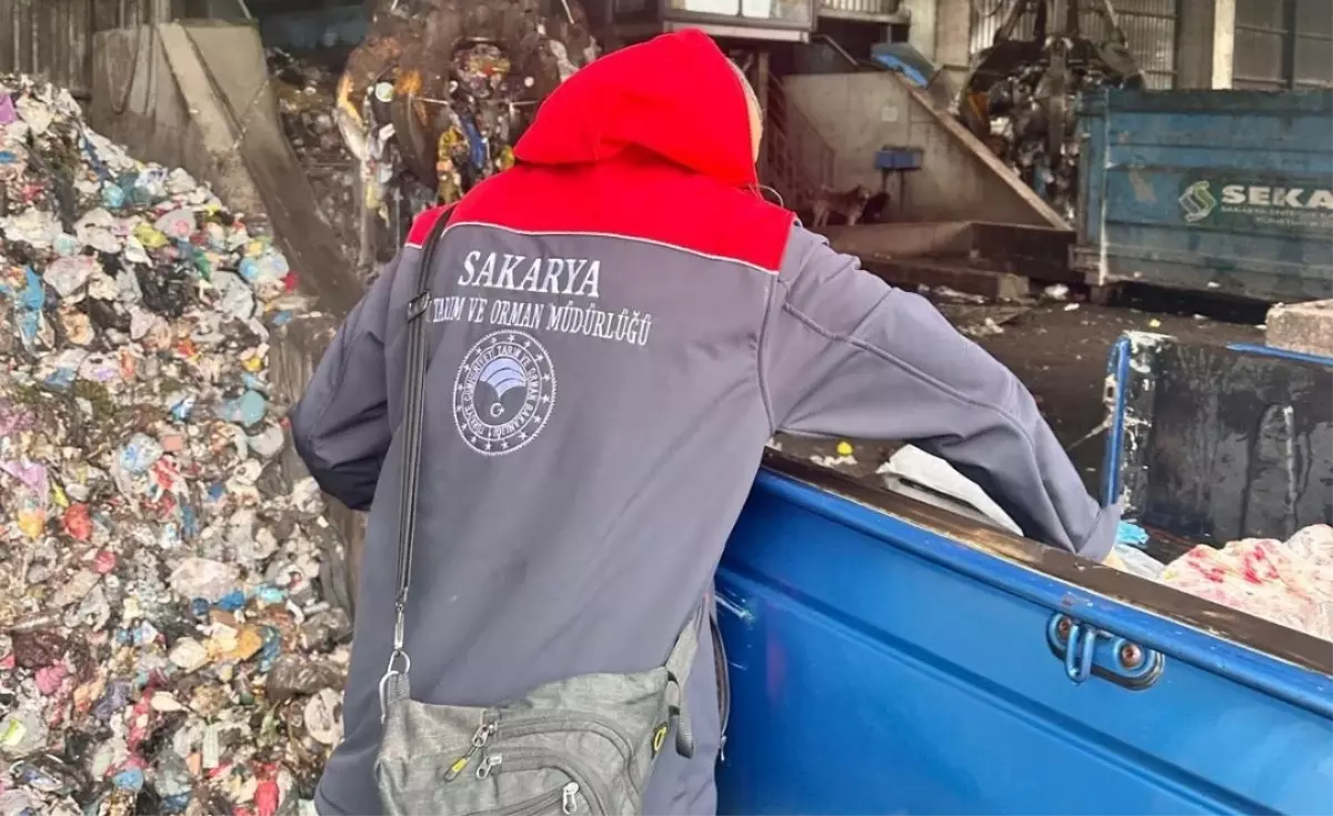 Sakarya\'da skandal, denetimle ortaya çıktı: 200 kilo bozuk tavuk ele geçirildi