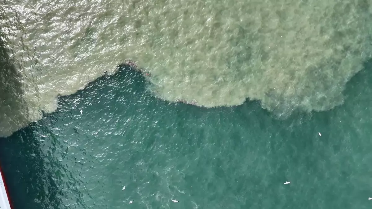 Haliç Kahverengiye Büründü