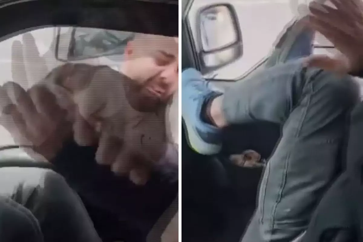 Kamyonetin yanına geldi, sürücüye camdan dehşeti yaşattı