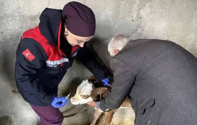 Adıyaman’da Zoonoz Hastalıklara Karşı Aşılama Devam Ediyor