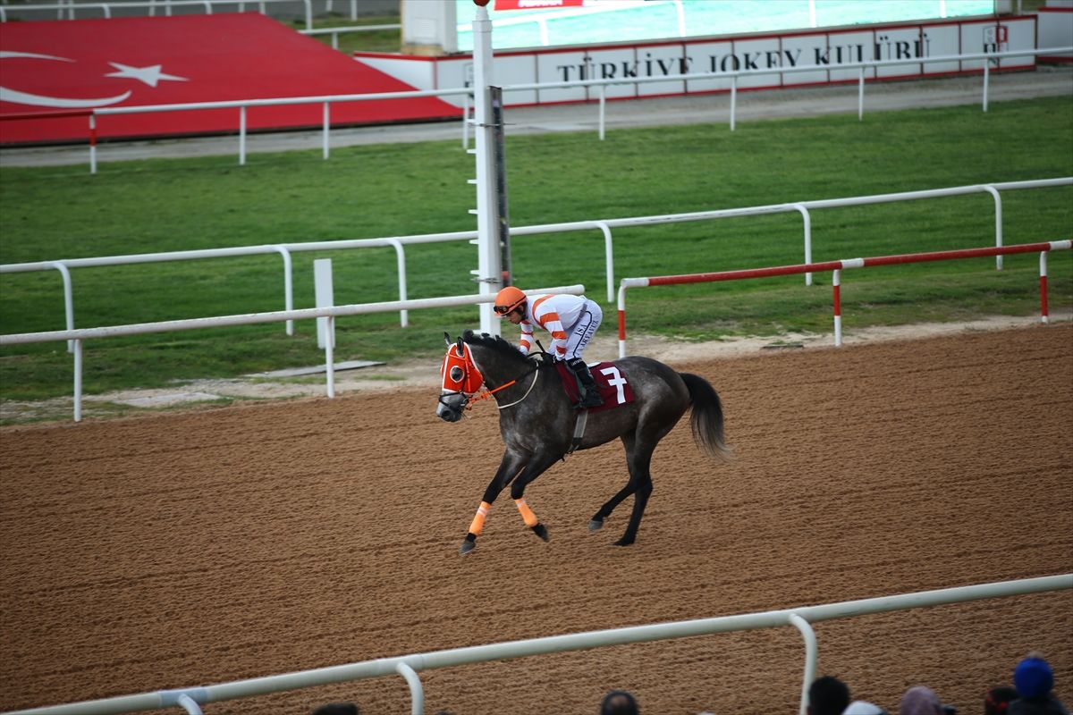 Adana\'da \'Mountain\' Zaferi