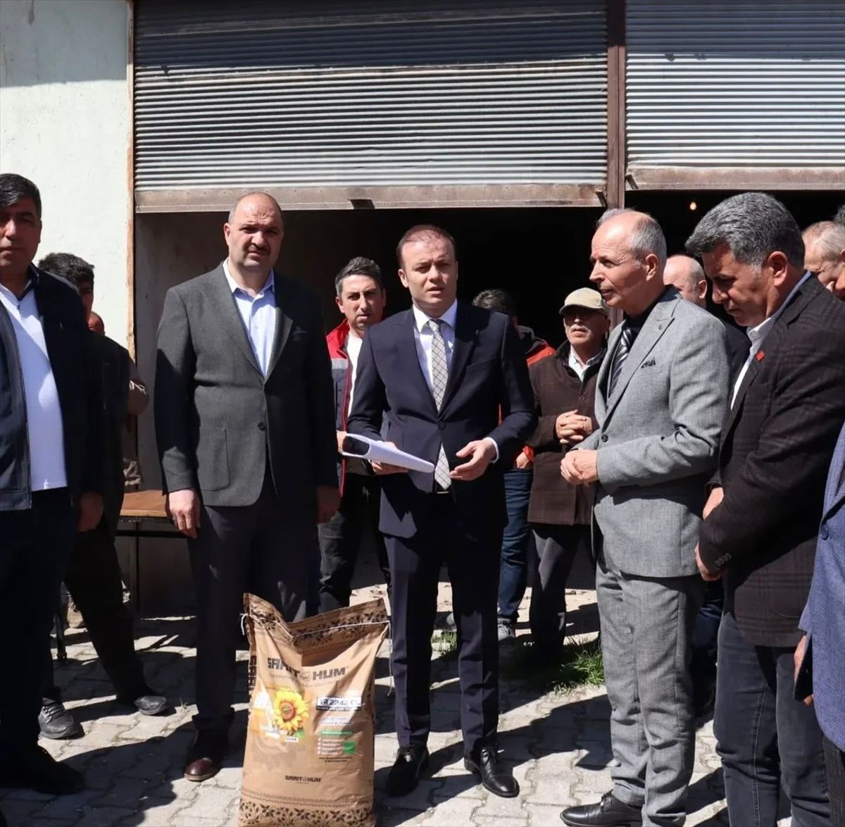 Çiftçilere Ayçiçeği Tohumu Desteği