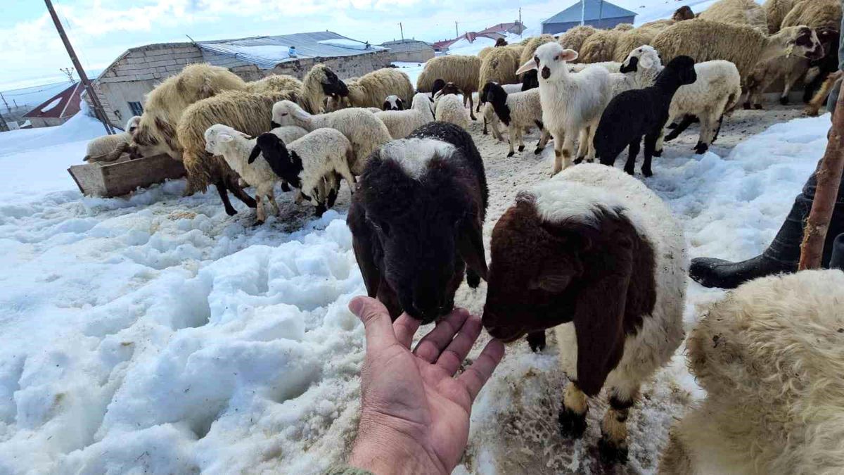 Aydınlar\'da İki Mevsim Yaşanıyor