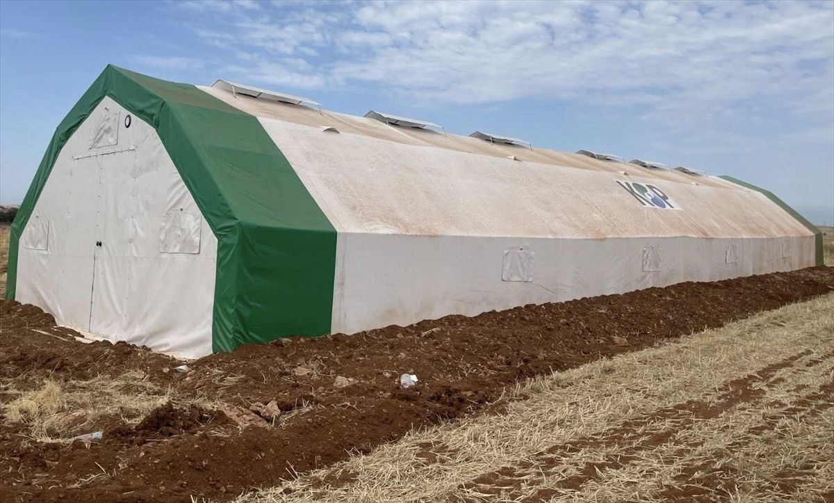 Beyşehir Gölü\'nde Balık Kurtarma Operasyonu