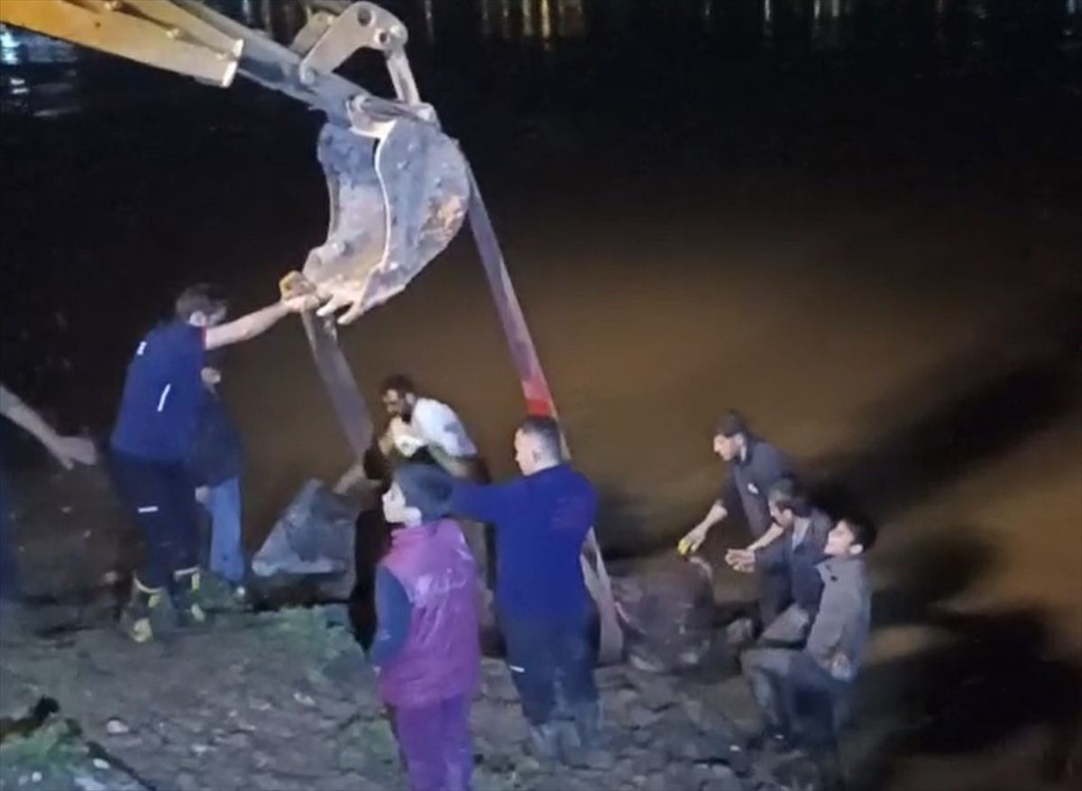 Cizre\'de İnek Nehirden Kurtarıldı