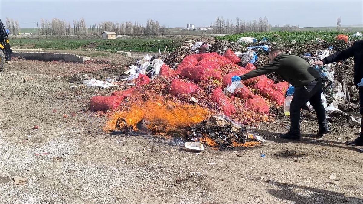 Kaçakçılık Operasyonunda Ele Geçirilenler İmha Edildi