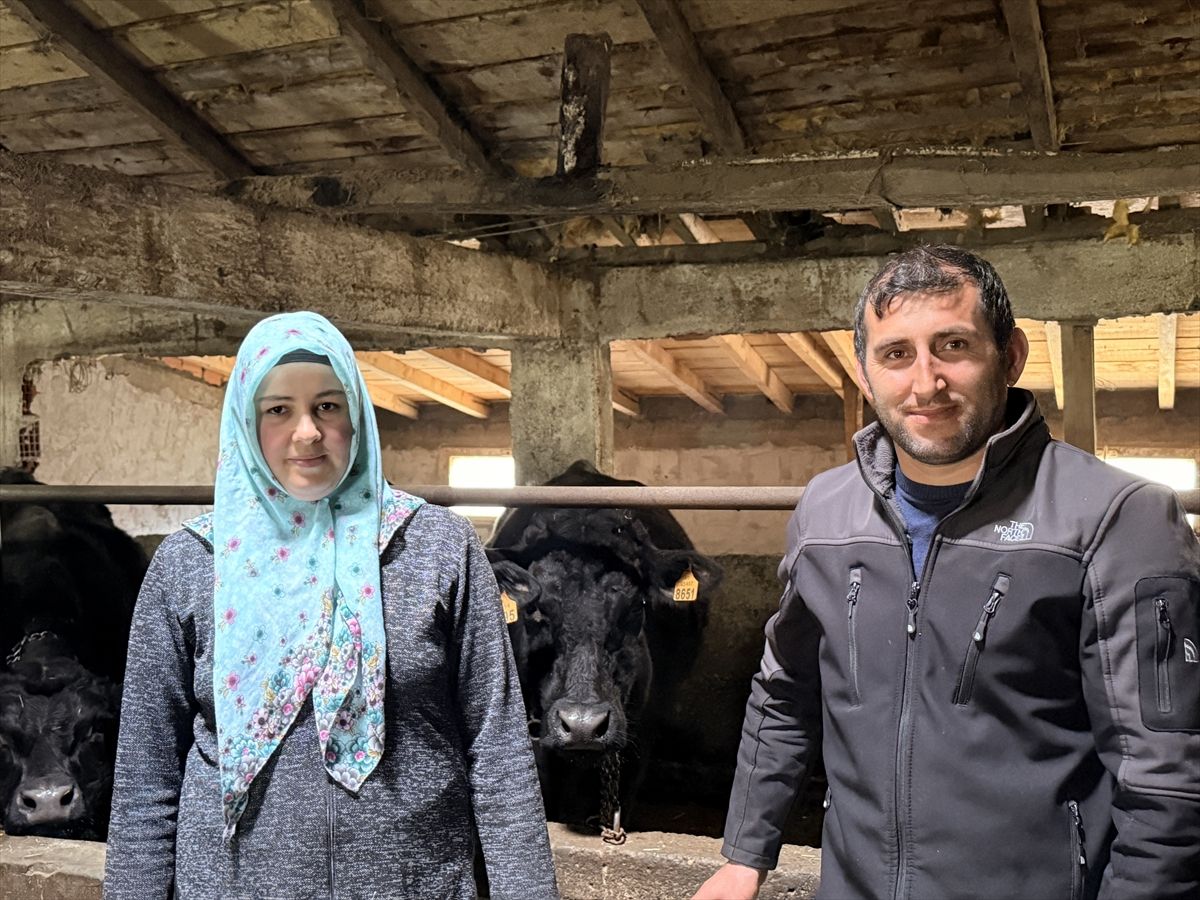 Aysel\'in Hayvancılık Başarısı