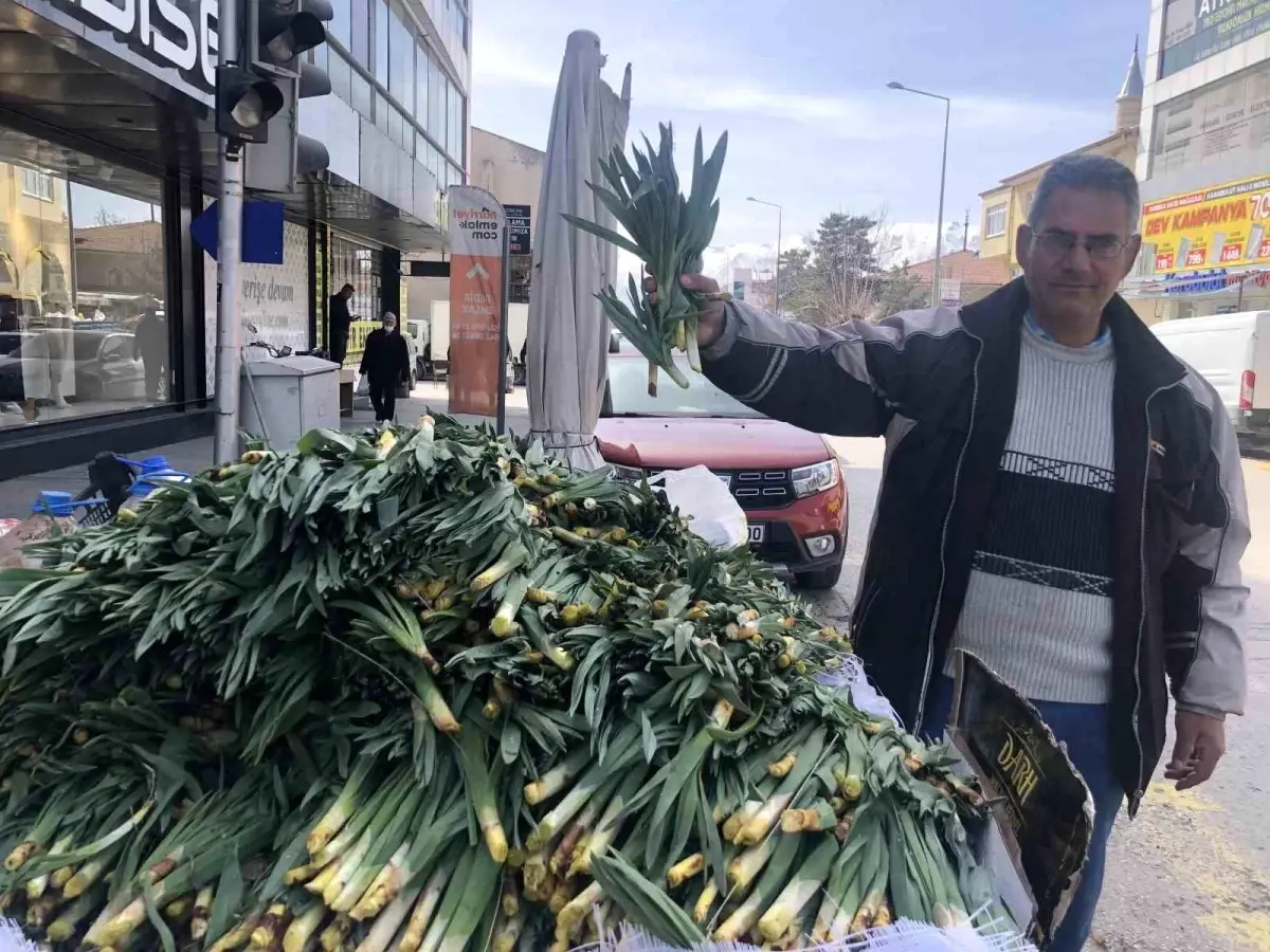 Doğal Antibiyotik: Çiriş Otu Tezgahlarda!