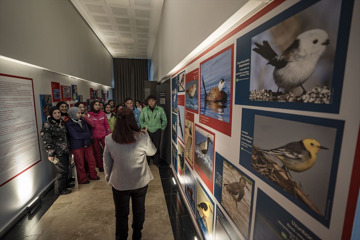 Biyoçeşitlilik Müzesi\'nde Tıbbi Bitki Sergisi