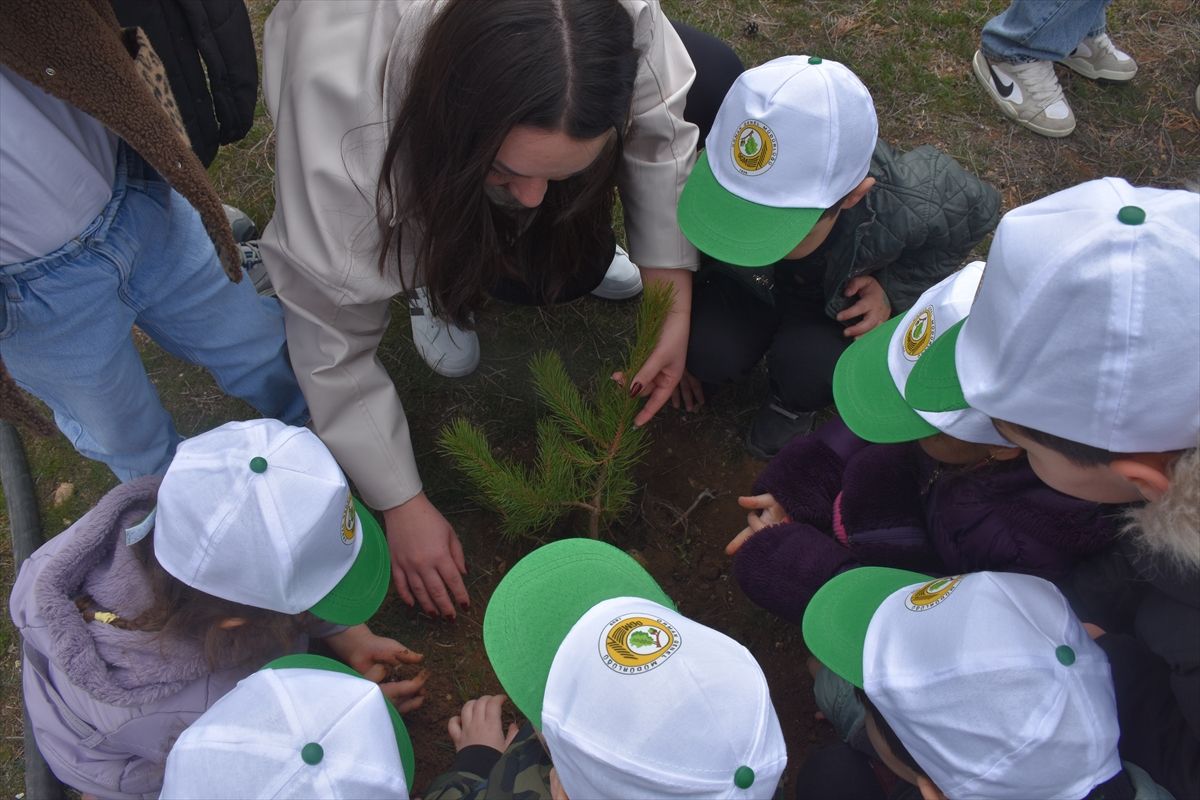 Kelkit\'te Fidan Dikimi Etkinliği