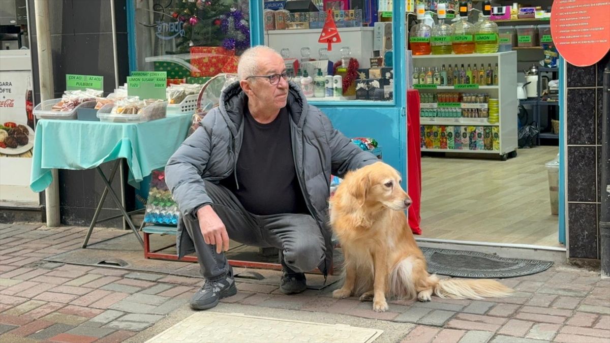 Becks\'in Hayata Tutunma Hikayesi