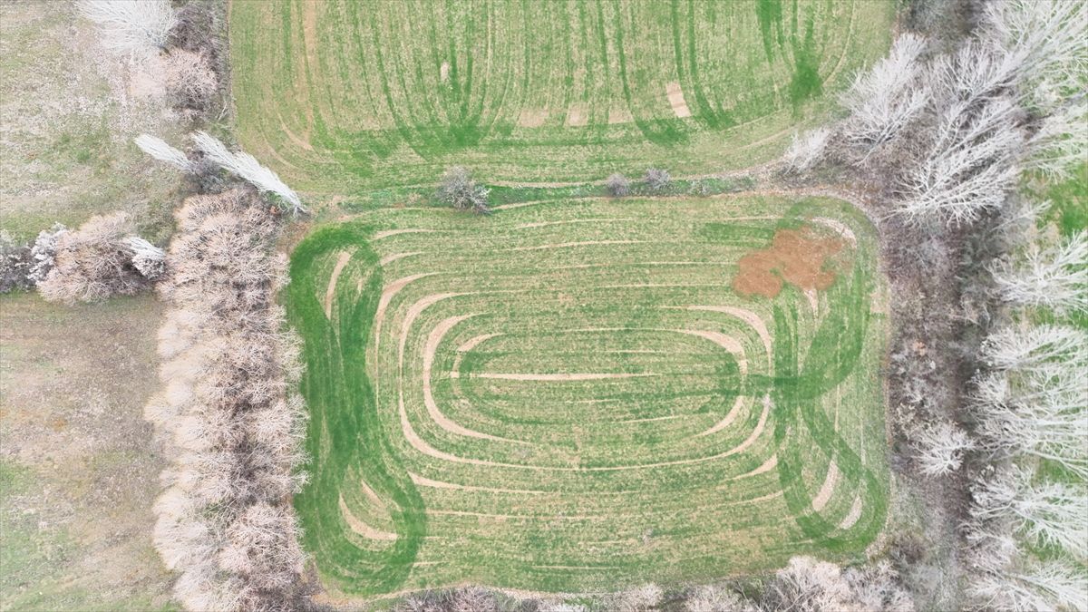 Yalvaç Tarlalarında Geometrik Desenler