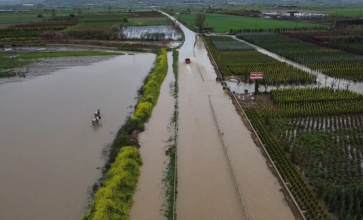Ödemiş\'te Sağanak Yağış Tarımı Vurdu