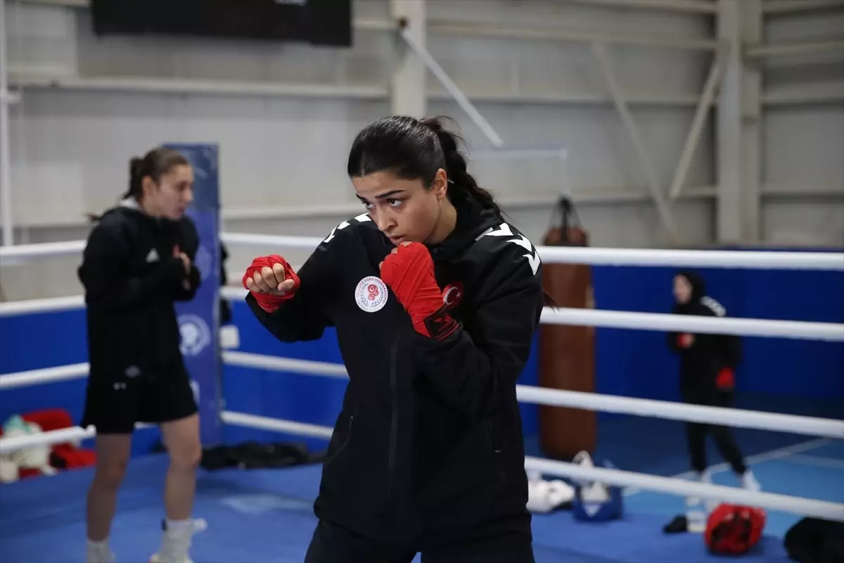 Türkiye, Azerbaycan\'da Boks Turnuvasında