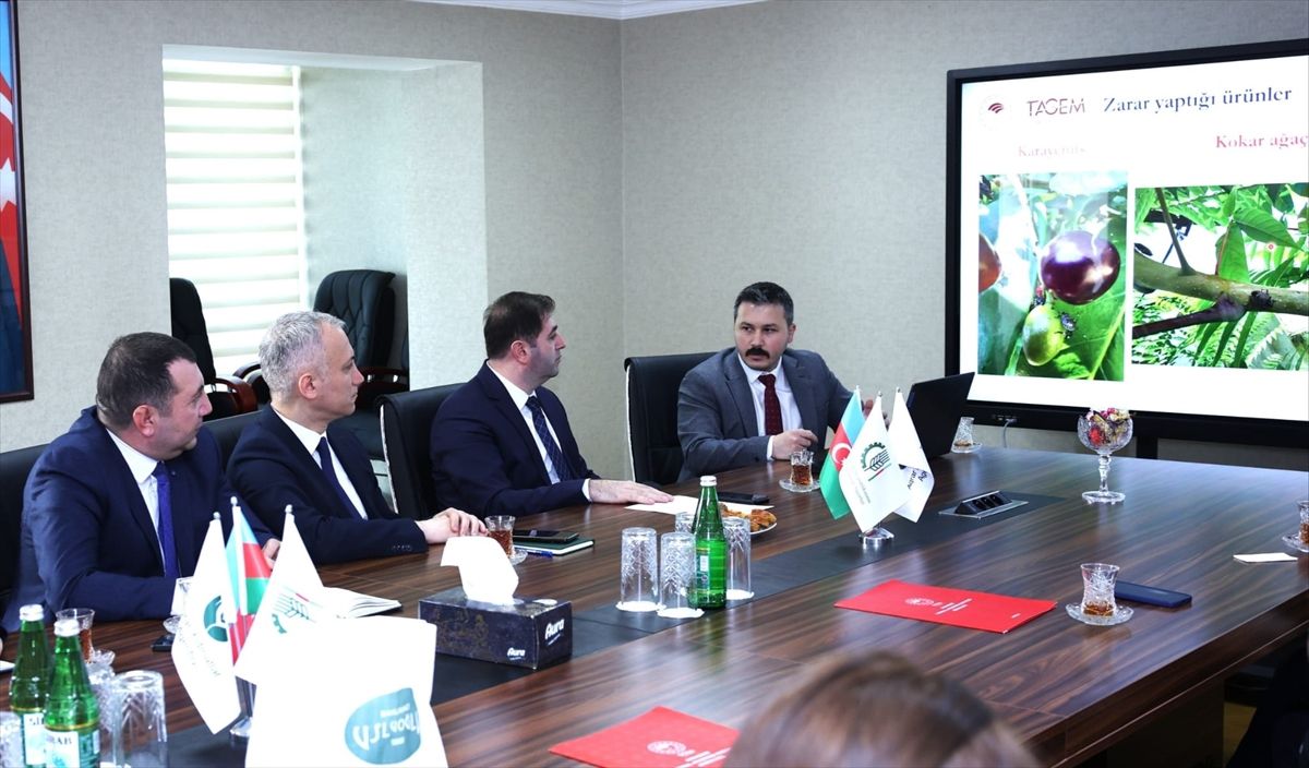 Karadeniz Enstitüsü Azerbaycan\'da İncelemelerde Bulundu