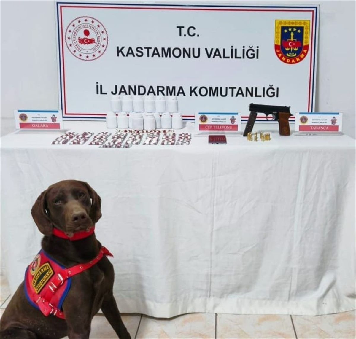 Kastamonu\'da Uyuşturucu Operasyonu: Bir Tutuklama