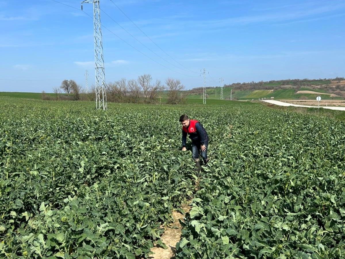 Kırklareli\'nde Kanser Taraması