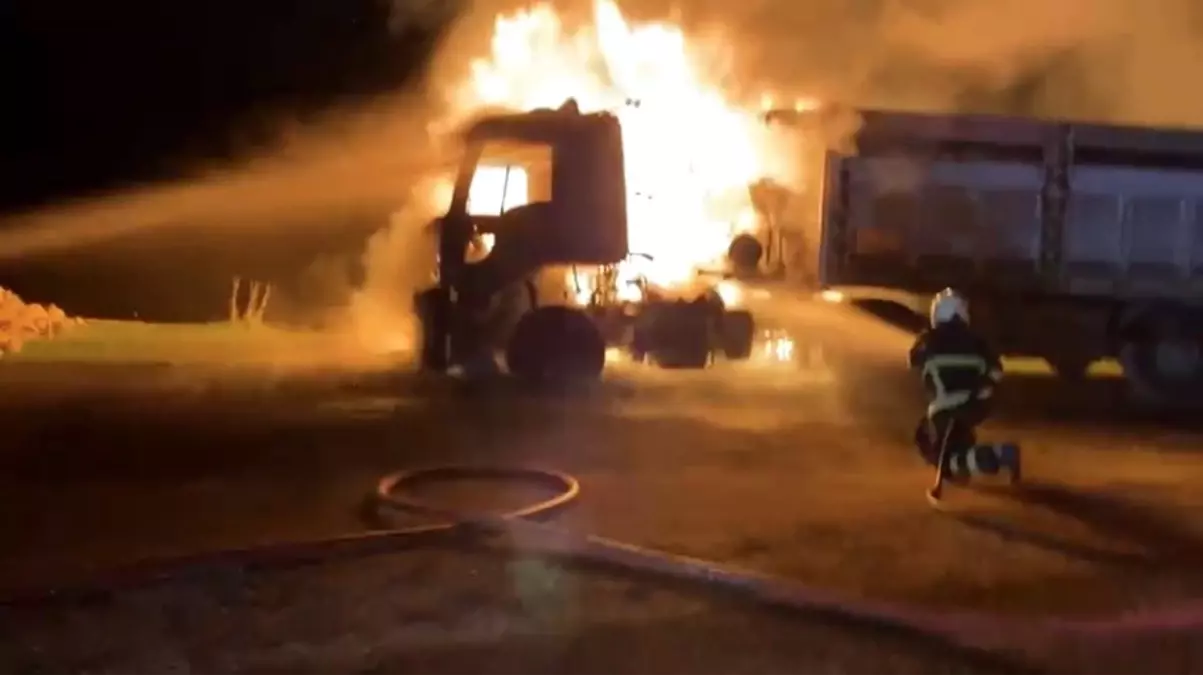 Mardin\'de Seyir Halindeki Tır Yangında Yandı