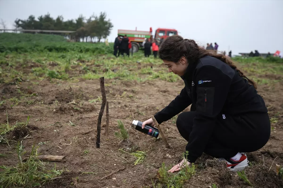 Lise Öğrencileri Doğaya Fidan Dikerek Katkı Sağladı
