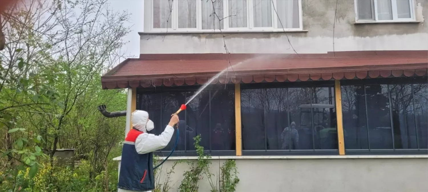 Kahverengi Kokarca Mücadelesi Devam Ediyor