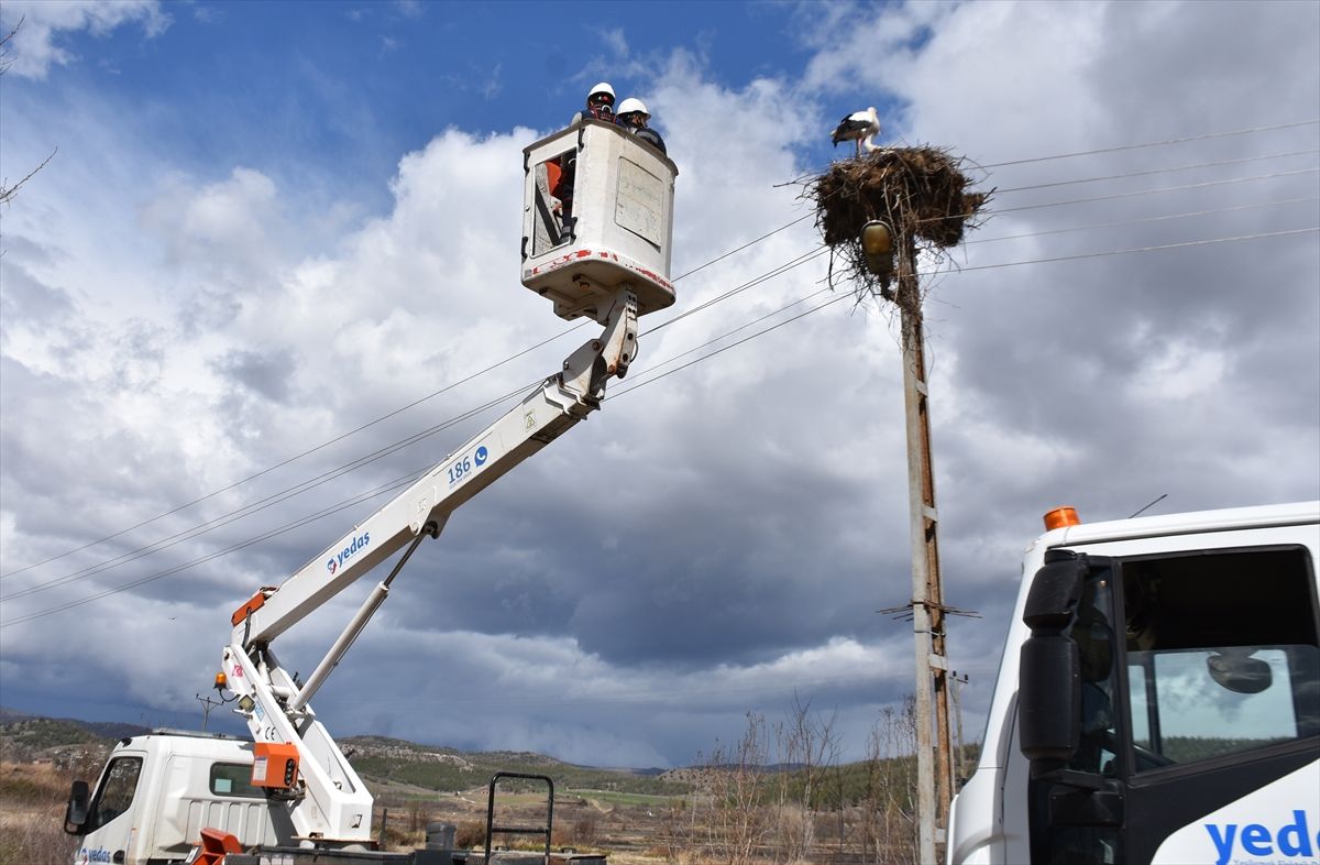 Leylekler İçin Güvenli Platformlar Kuruldu