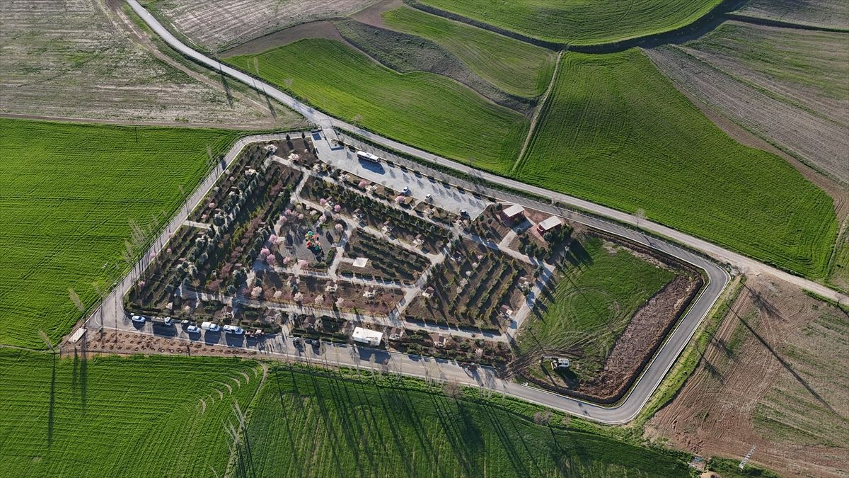 Sungurlu\'da Fidan Dikimi Etkinliği