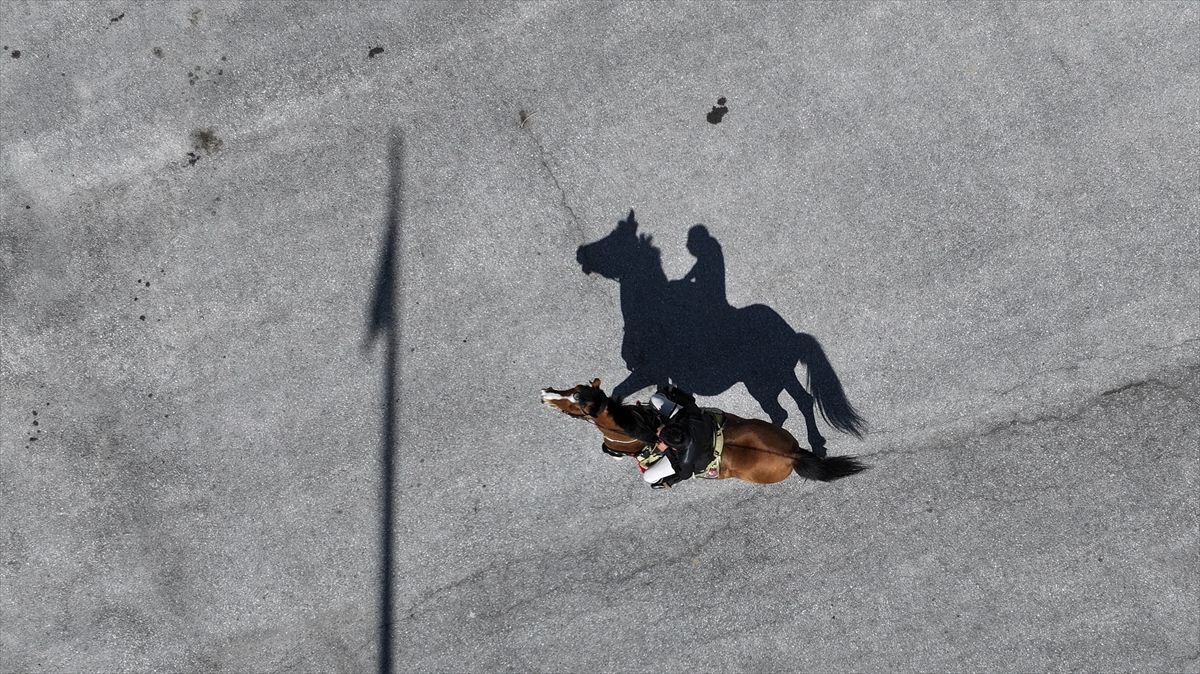 At Sırtında Muhtarlık Yapıyor