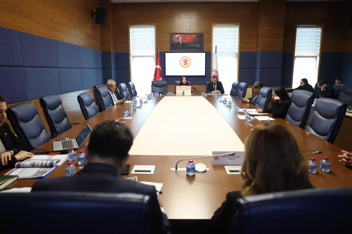 TBMM Finansal Okuryazarlığın Yaygınlaştırılması Alt Komisyonu toplandı