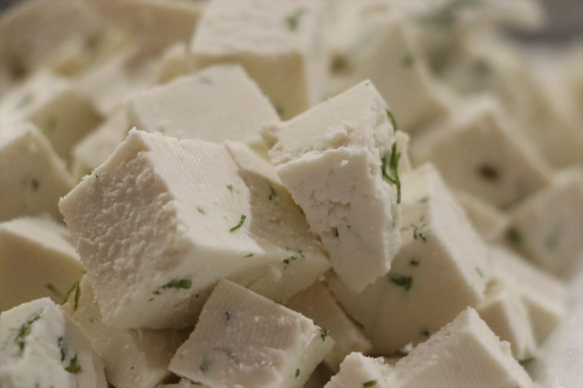 Tekirdağ\'da En İyi Keçi Peyniri Seçildi