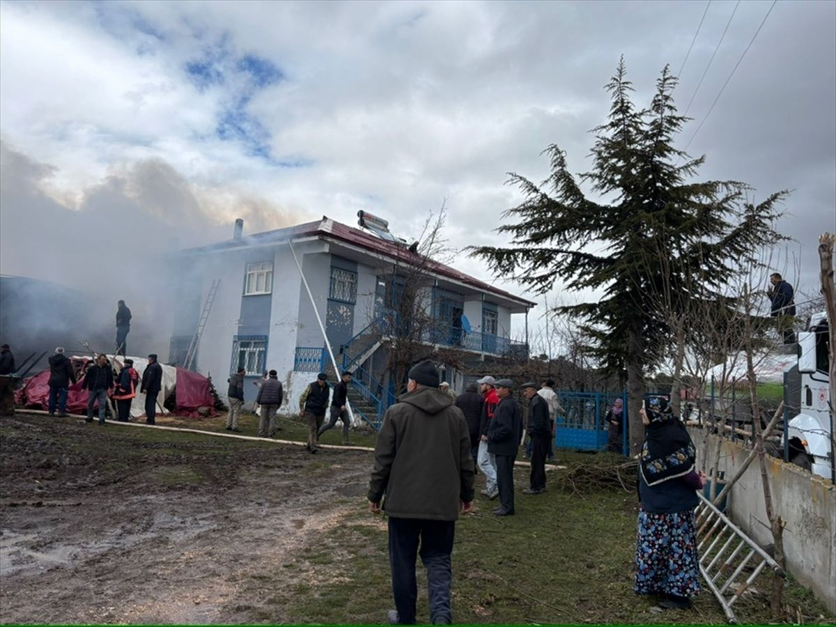 Reşadiye\'de Yangın: Odunluk Küle Döndü