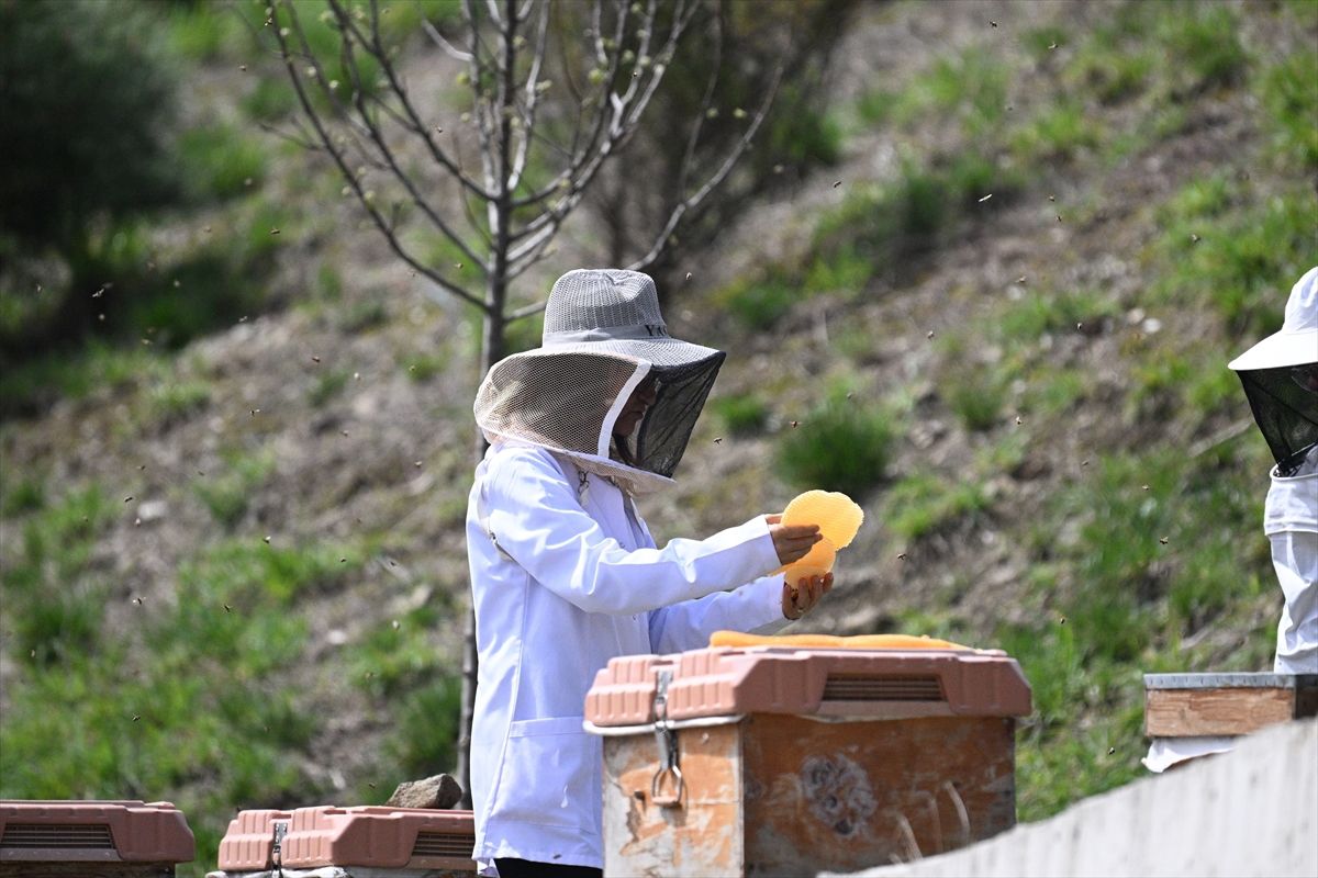 Türkiye Arıcılık Olimpiyatları\'na Ev Sahipliği Yapacak