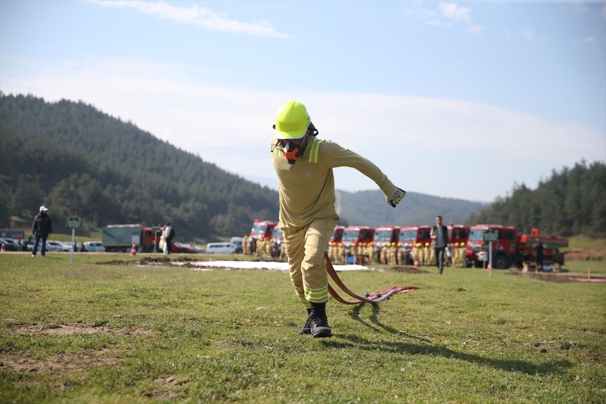Türkiye Ormancılık Yarışmaları Başladı