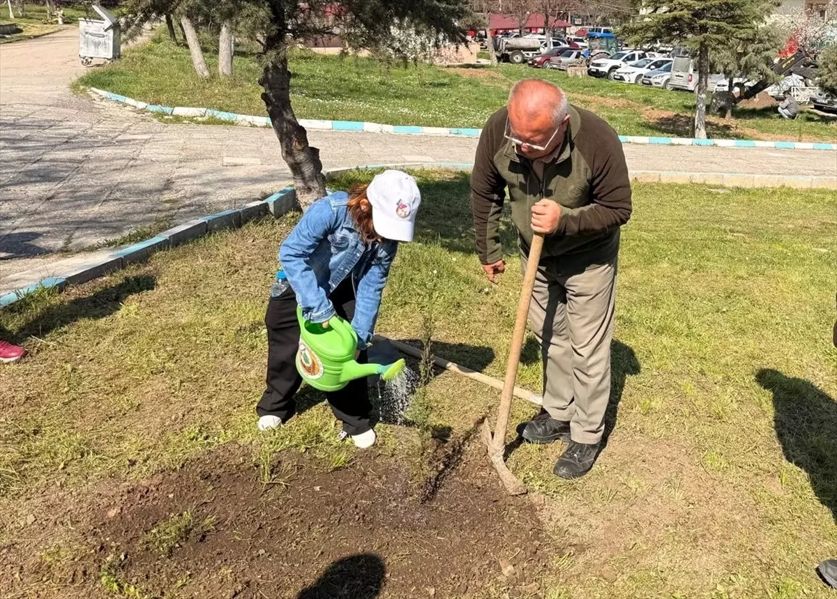 Vezirköprü\'de Anaokulu Fidan Dikimi