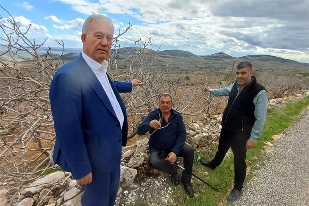 Yağışlar Tarıma Destek Oldu