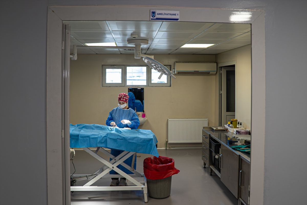 Garip, Maskot Eşek Oldu