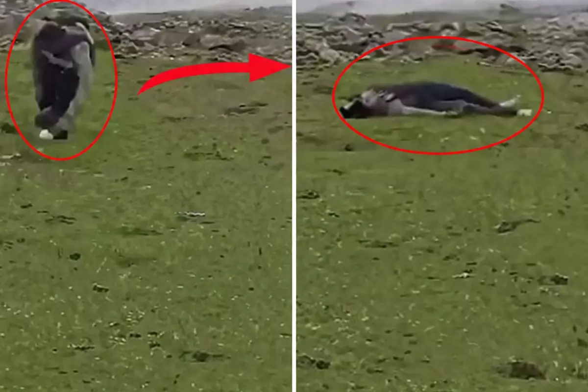 İsrail'in Suriye'ye Baskını