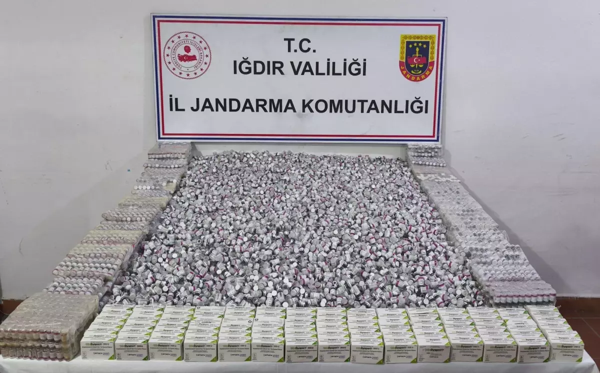 Iğdır\'da 12 bin 600 Kaçak Botoks İlaçı Ele Geçirildi