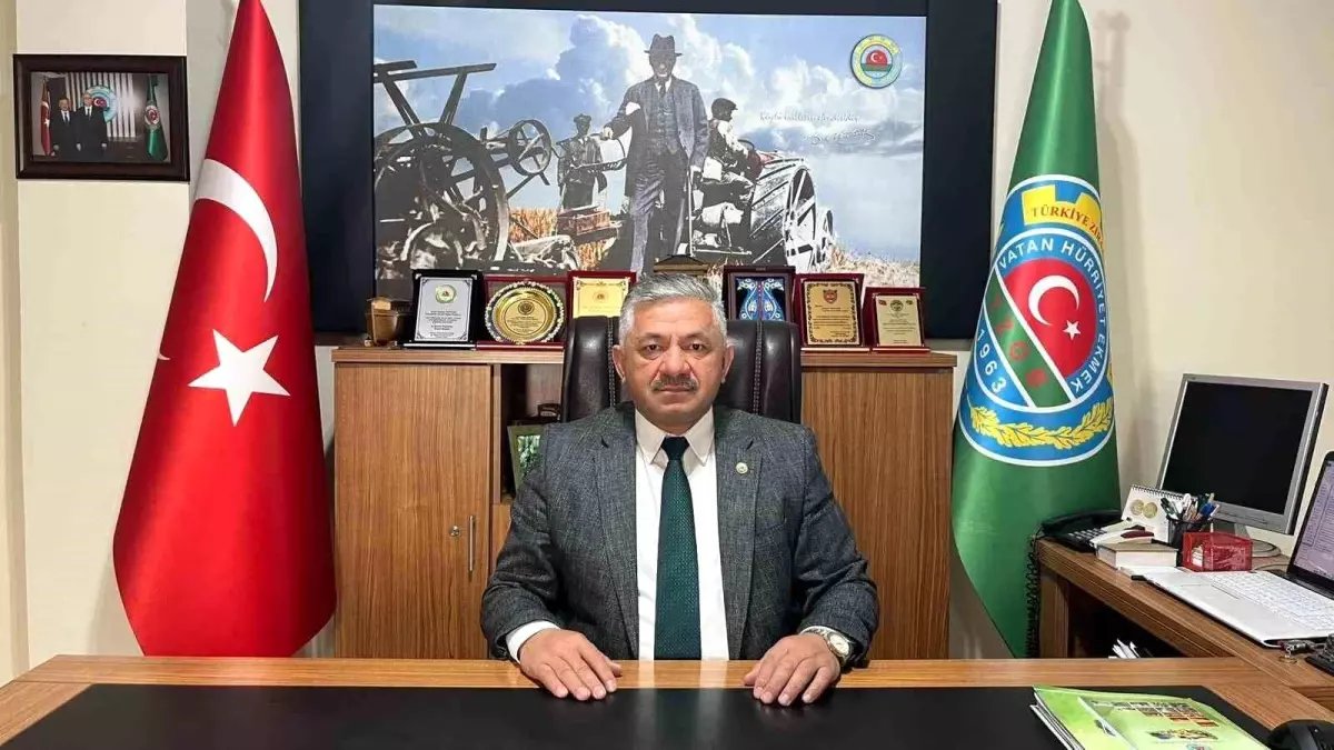 Fındık Fiyatlarına Müdahale Çağrısı