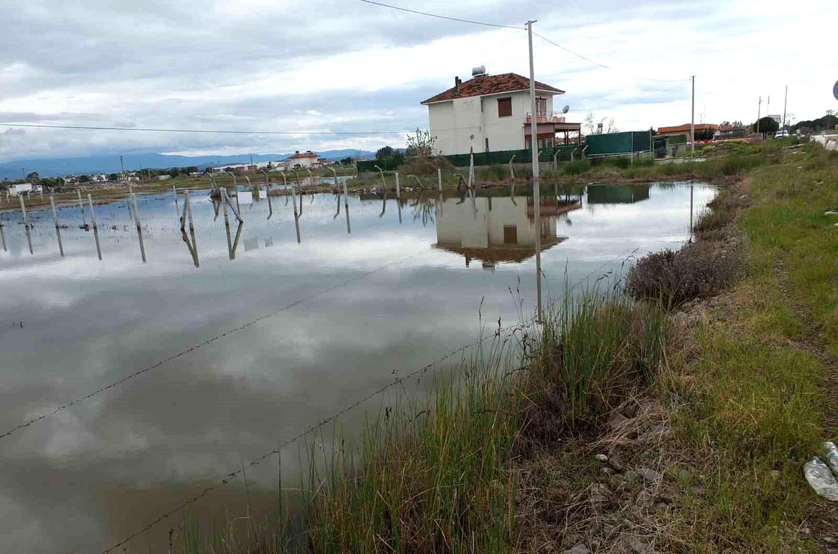 Nisan Yağmurları Zeytin Üreticilerini Sevindirdi