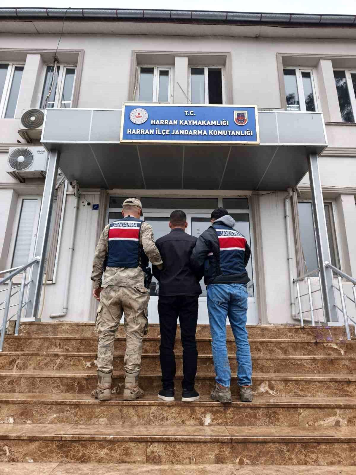 Harran\'da Dolandırıcı Yakalandı