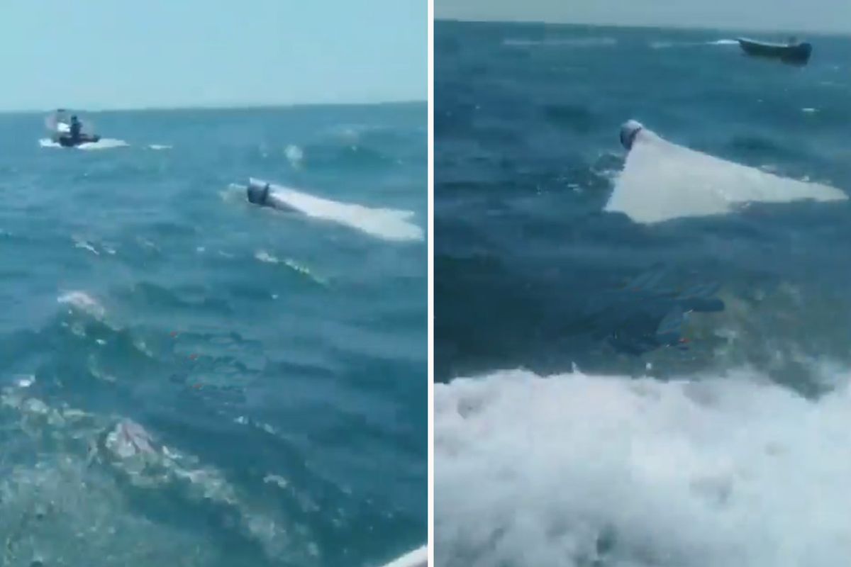 İran, ABD İHA\'sını düşürdü