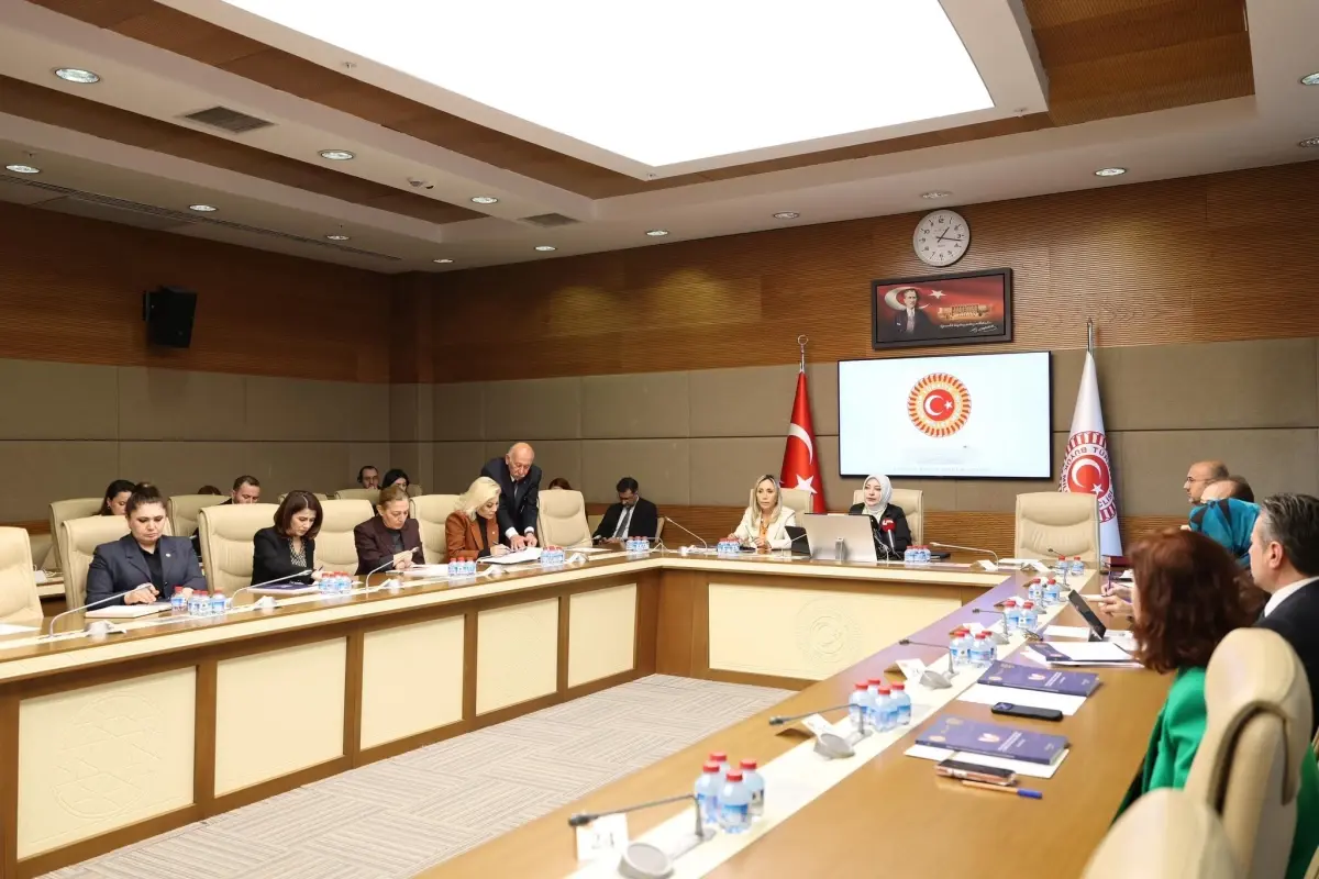 Kadına Yönelik Şiddet Raporu: Koruma Eksikliği