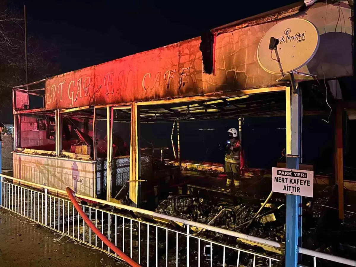 Gemlik\'te Yangın Kontrol Altında