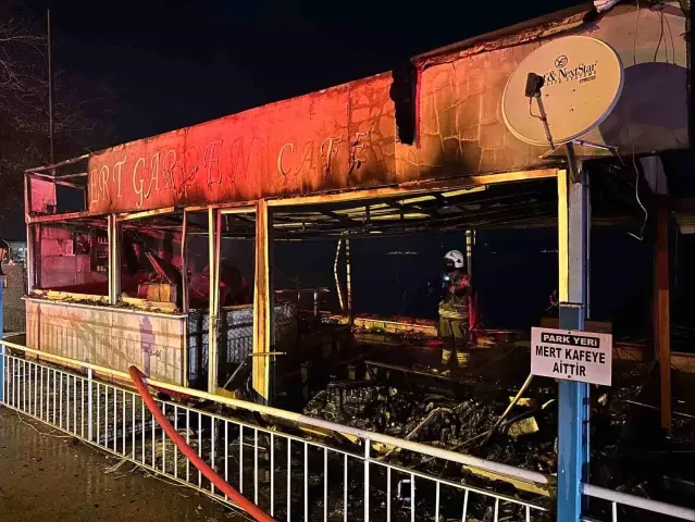 Gemlik'te Yangın Kontrol Altında