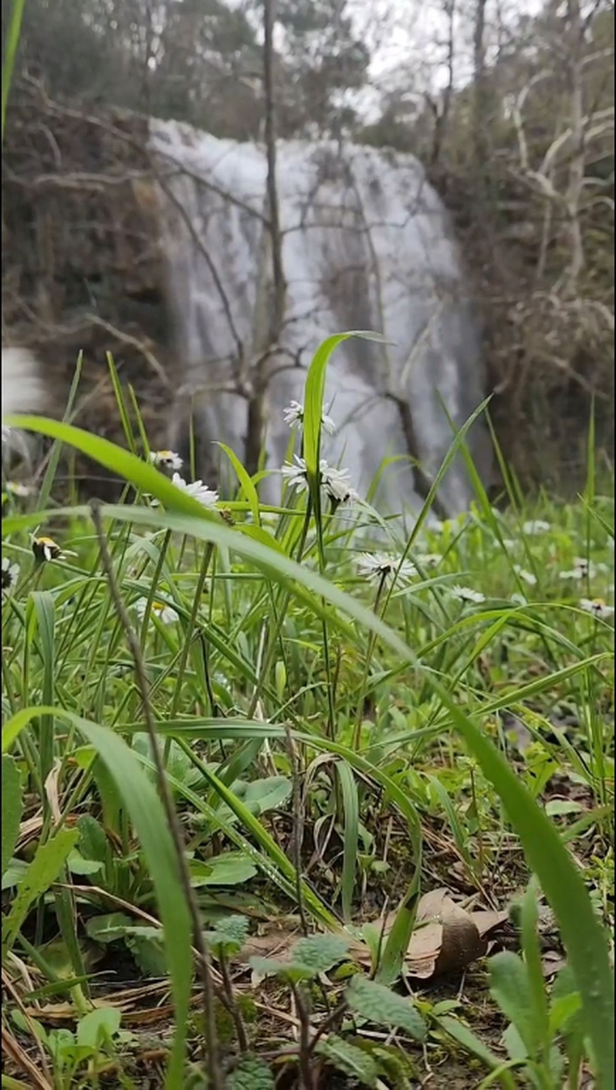 Aladağ\'da Şelaleler Coştu