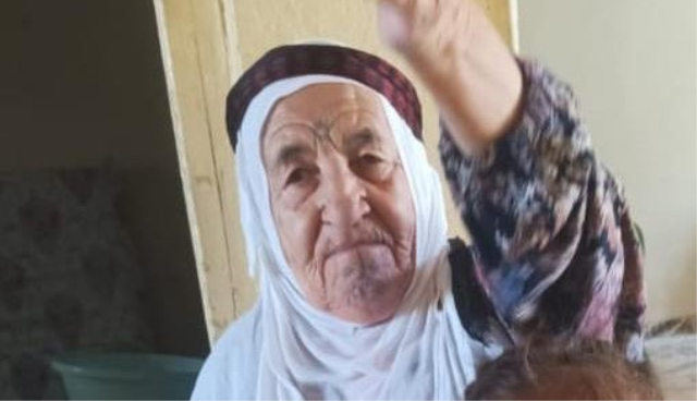 Mardin'de kaybolan 80 yaşındaki kadının bulunması için arama çalışmaları sürüyor